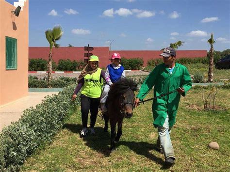 Équitation à Settat : Clubs et centres équestres à Settat .